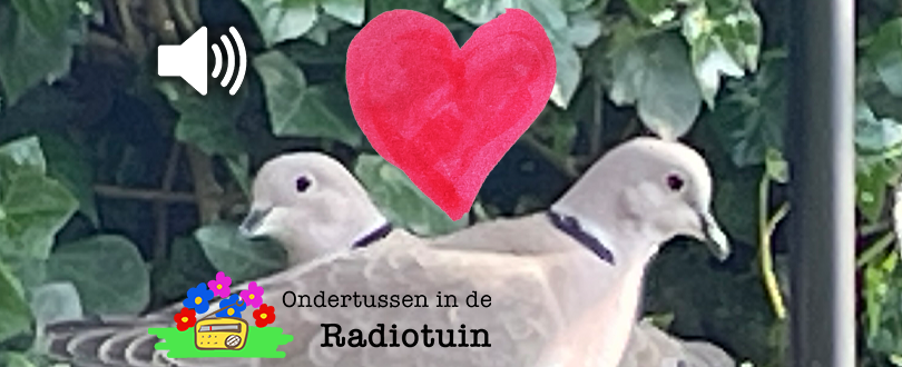 De liefde en de lust in de Radiotuin met Valentijnsdag